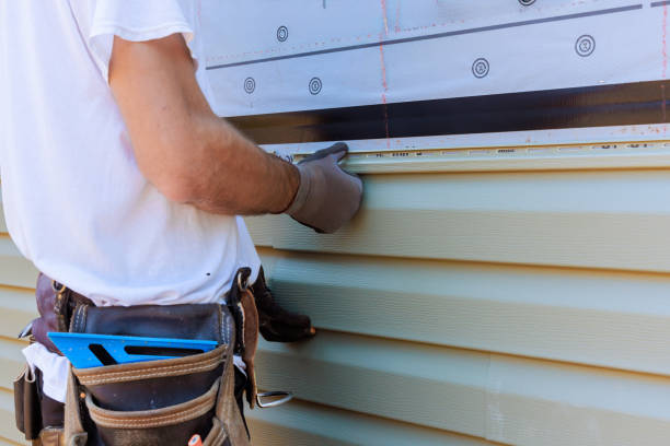 Best Vinyl Siding Installation  in Long Grove, IA